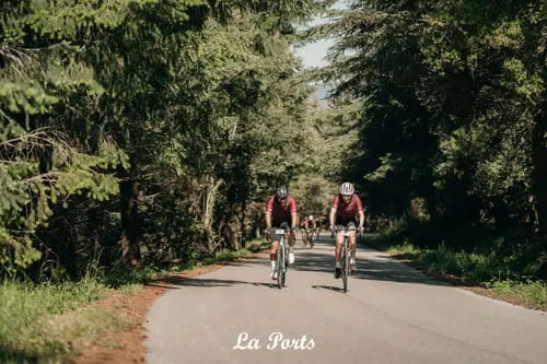 image la ports del maresme yellow flowers field cycling race